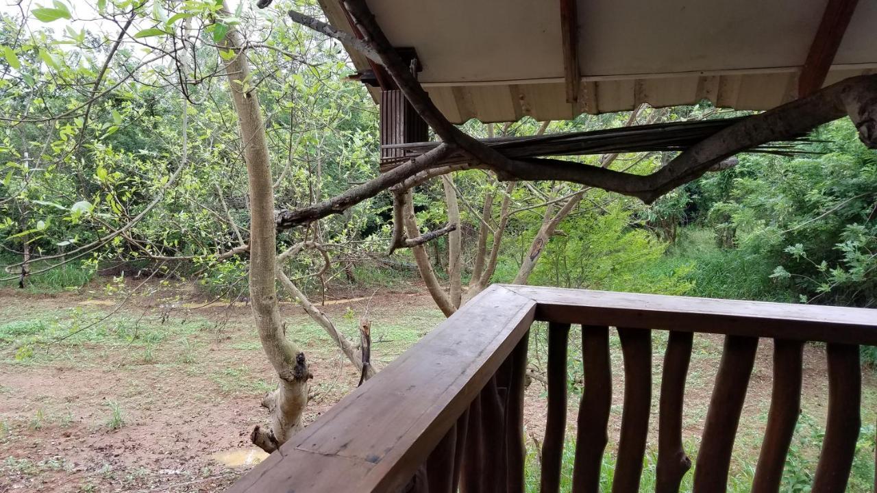 Sigiri Holiday Villa Sigiriya Esterno foto