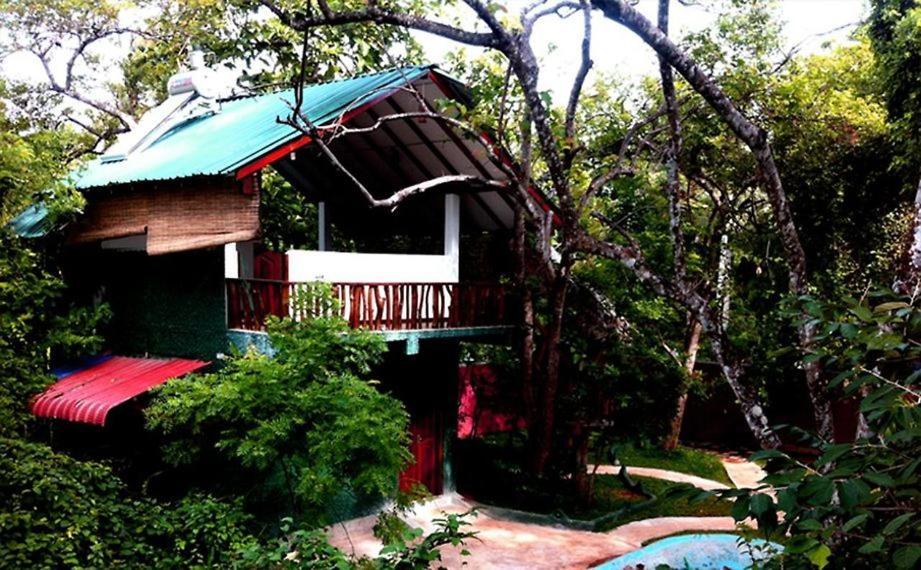 Sigiri Holiday Villa Sigiriya Esterno foto